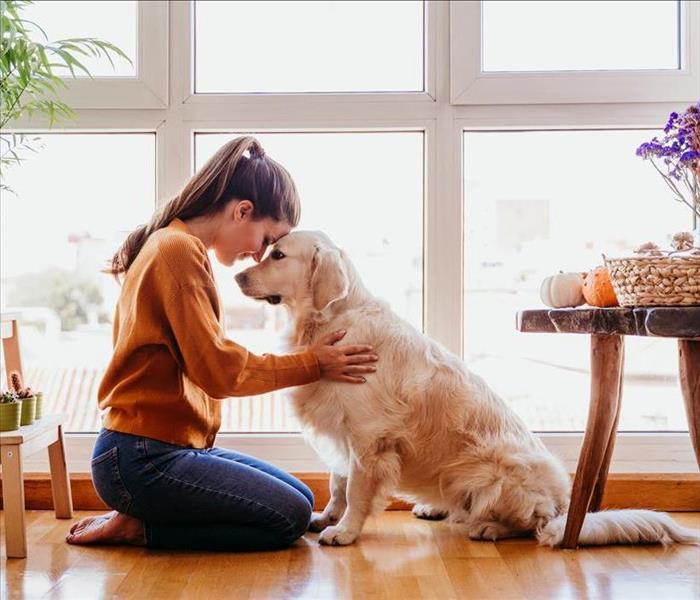 woman hugging pet dog